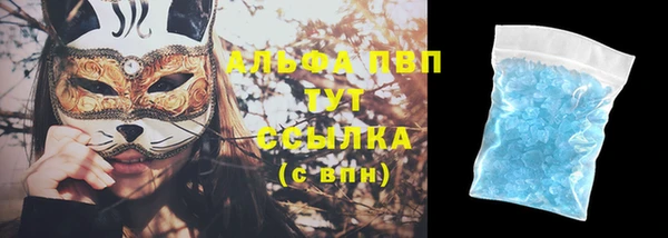 PSILOCYBIN Козельск