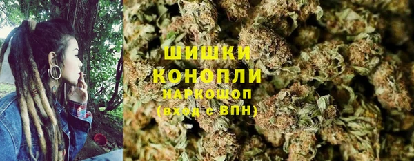 PSILOCYBIN Козельск