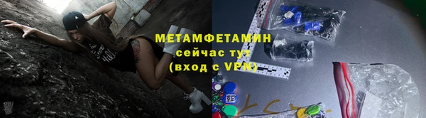 трава Корсаков
