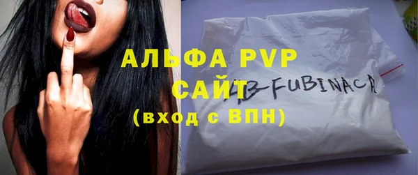 трава Корсаков