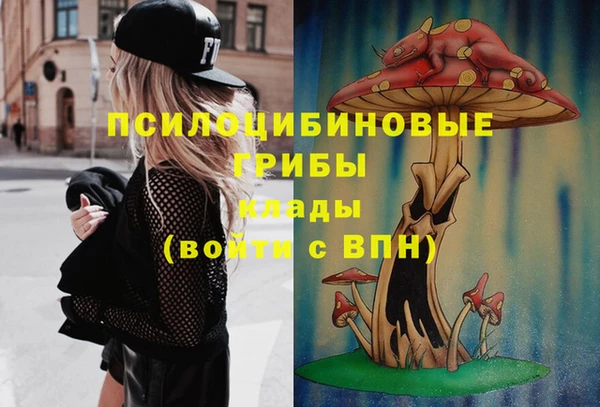 прущая мука Козловка