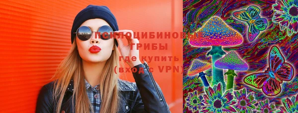 мдпв Новосибирск