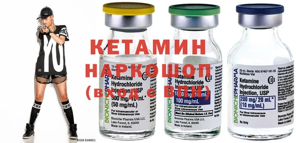 трава Корсаков